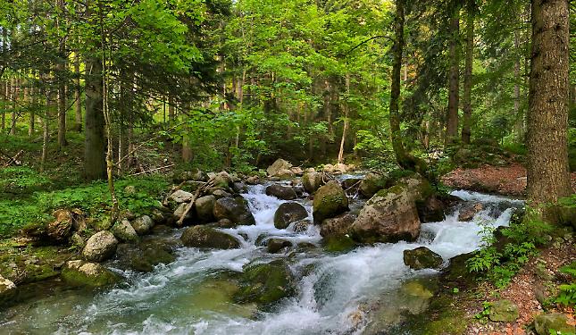 Pesca, c'&egrave; la proroga al ripopolamento: esulta la Lega