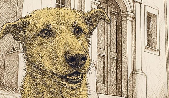 Festa di San Rocco a Niella Tanaro: camminata con gli amici cani, musica e tradizione