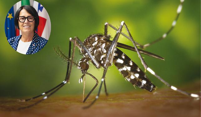 West Nile, il virus spaventa anche il Piemonte