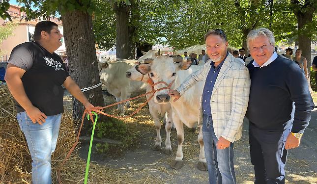 L’Antica Fiera del Bestiame rafforza l’asse Carcare-Carrù