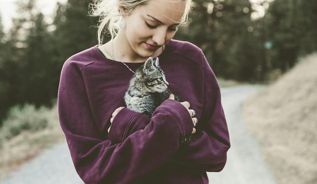 “Diploma di lingua felina”: un corso per capire davvero il tuo gatto