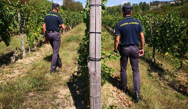 Lavoro in nero, la stretta della Guardia di Finanza: sanzioni per tre imprenditori