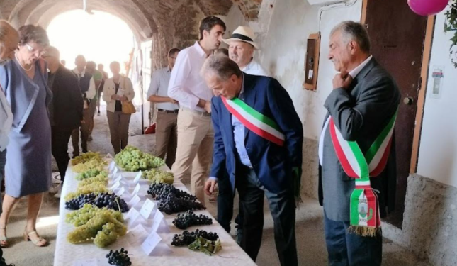 Mostra dell'uva e del vino, 3ª edizione, a Bastia Mondovì