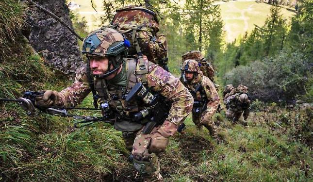Alpini