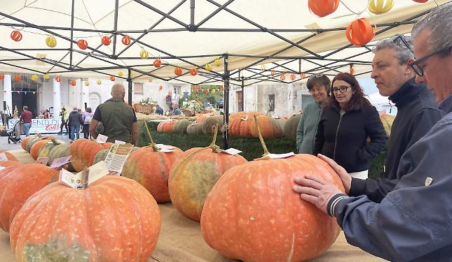 “ZuccaInPiazza” non delude e fa il pienone