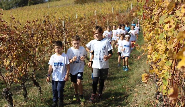 Bambini di corsa tra le vigne: un sabato di sport e divertimento