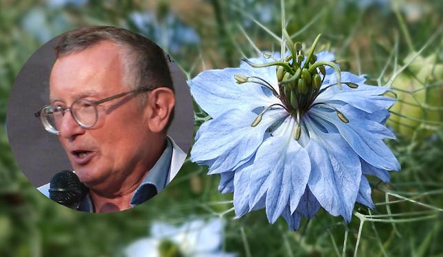 Tre fiori per un paese: la Nigella verso il riconoscimento De.Co. a Niella Tanaro