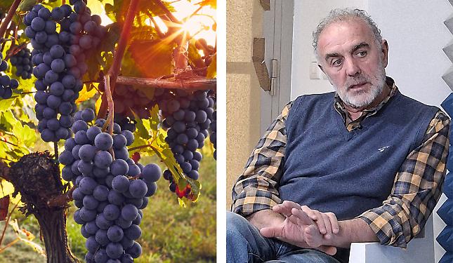 Prezzo delle uve: «Con le medie di quest’anno è difficile mantenere i vigneti»