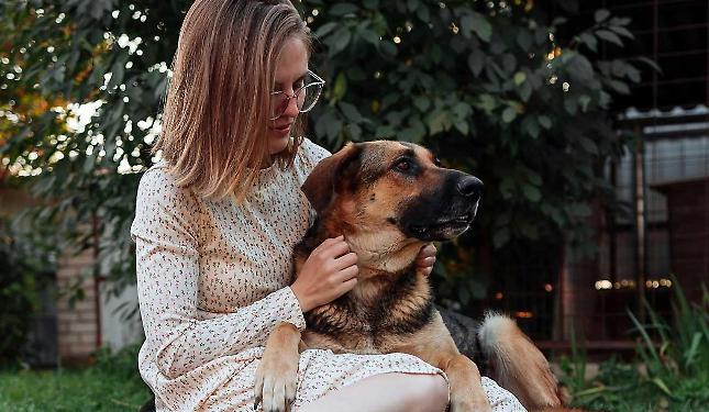 “Viaggiatori dello stesso mondo”: il progetto che insegna a vivere meglio con i cani