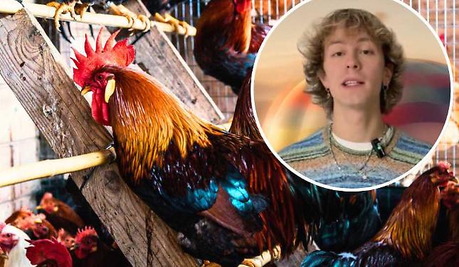 Cosa faccio nel week-end?