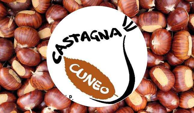 La Castagna IGP sbarca a &ldquo;Castanea&rdquo;: debutto ufficiale alla fiera di Firenze