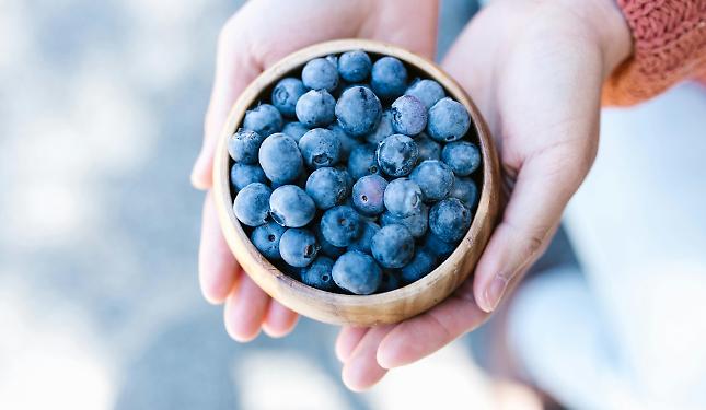 Boom mirtillo: la Granda &egrave; la &ldquo;terra blu&rdquo; che sta conquistando il mercato