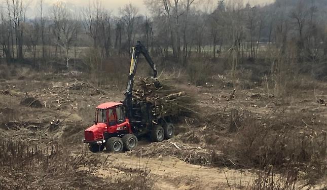 Fiume sorvegliato speciale: il Comune ripulisce l'alveo del Tanaro a costo zero