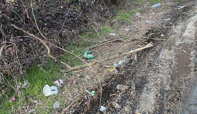 Rifiuti abbandonati, ancora una volta uno spettacolo di incivilt&agrave;
