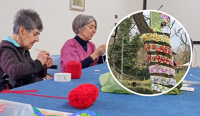 In casa di riposo si lavora a maglia, ma per vestire... gli alberi