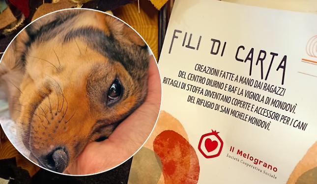 Ragazzi speciali cuciono coperte per i cani del canile: a Mondov&igrave; nasce &ldquo;Fili di Carta&rdquo;