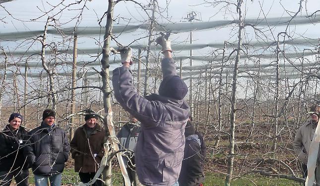 Nella &ldquo;terra dei frutteti&rdquo; per imparare a potare