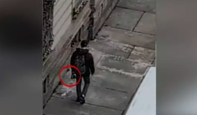 Ladro si aggira tra le auto: lo filma dal balcone di casa e lo fa arrestare