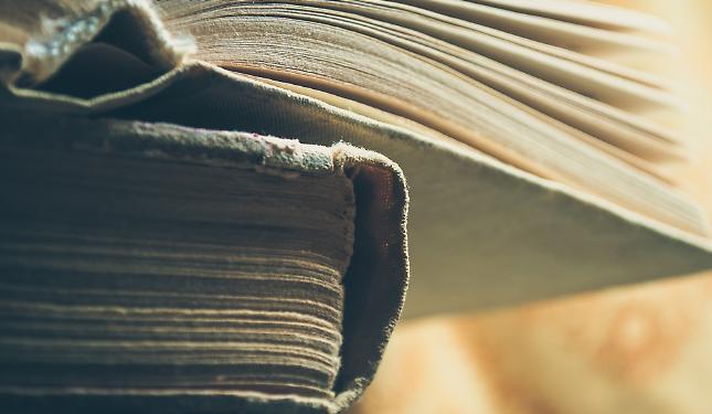 Un viaggio, molti libri, un&rsquo;idea di libert&agrave;: un incontro con Lele Viola