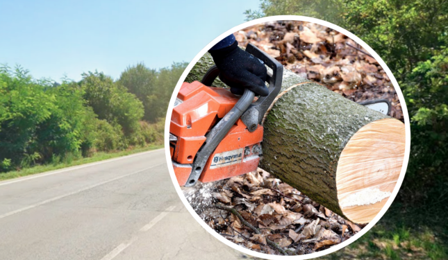 Taglio alberi sulla Fondovalle: semafori e rallentamenti per tutta la prossima settimana