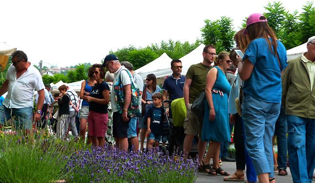 Il punto in Comune con le Associazioni e le realt&agrave;: il calendario degli eventi 2026