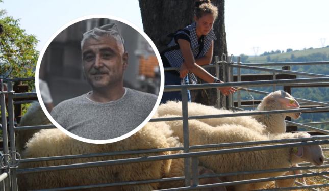 Fiera dei Trenta: si lavora per riportare l'esposizione delle pecore in piazza