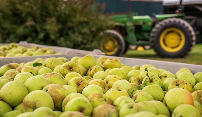 Lavoratori agricoli stagionali: recuperare fabbricati, per ospitarli dignitosamente