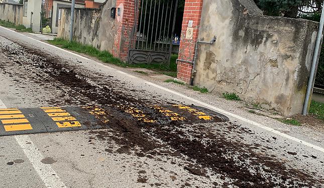 &laquo;Per l'ennesima volta una strisciata di letame sulla strada verso l'Ospedale&raquo;