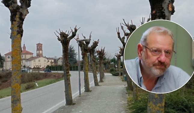 Il paese si rimbocca le maniche: completata la potatura di 135 alberi del viale con il supporto dei volontari