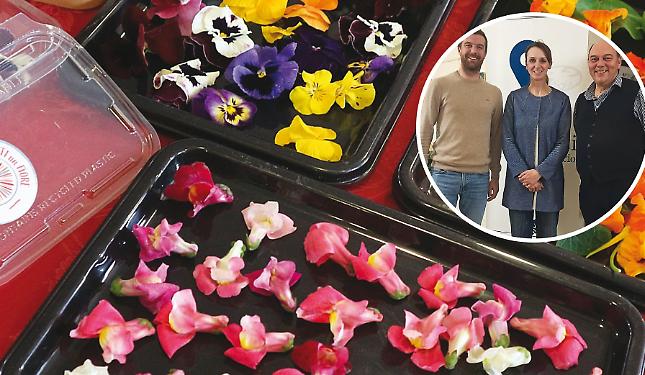 Petali e corolle in cucina: l&rsquo;uso dei fiori in gastronomia