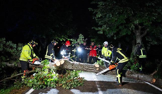 Pioggia a vento: alberi caduti in strada nella notte, alla Giacobba