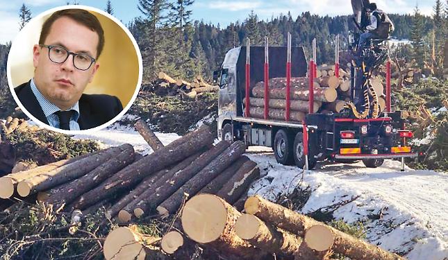 &laquo;Energia nucleare? Meglio puntare sulle filiere del legno&raquo;