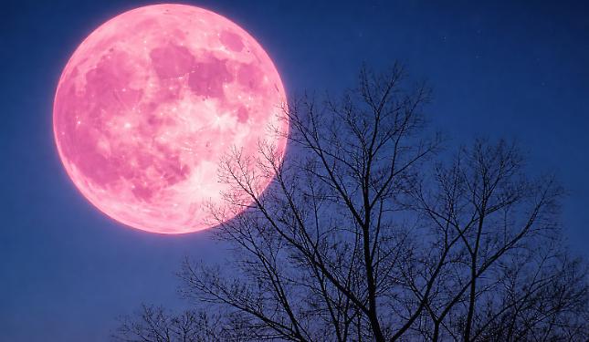 Sotto la luna rosa di primavera: una camminata tra silenzio, natura e condivisione
