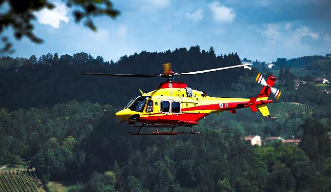 76enne muore schiacciato da un albero nei boschi, in Alta Langa
