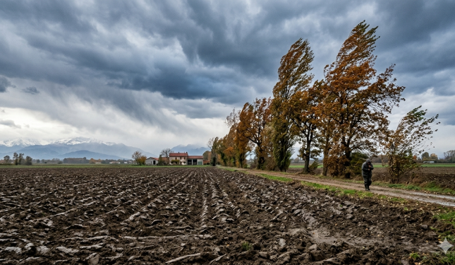 Piemonte sferzato dal Foehn: raffiche fino a 150 km/h e rischio gelate nel fine settimana
