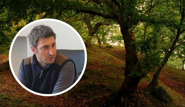 &laquo;Bisogna recuperare i castagneti abbandonati: la Regione aiuti le aziende&raquo;