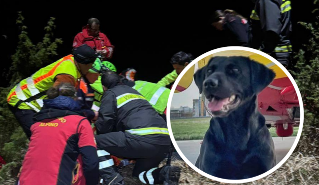 Si perde in montagna: ritrovato grazie al fiuto formidabile del cane "Ferro"