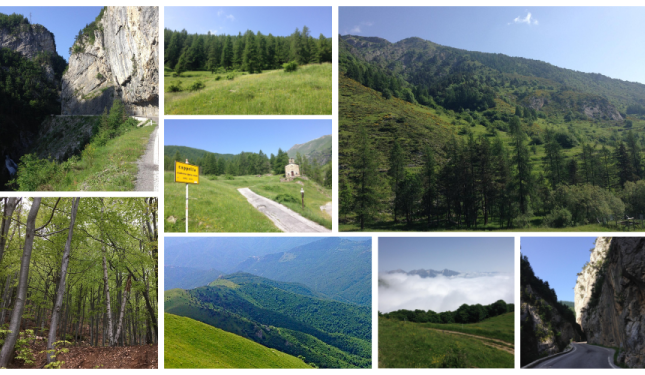 Valle Tanaro modello d&rsquo;Europa: dalle foreste nasce una nuova economia verde