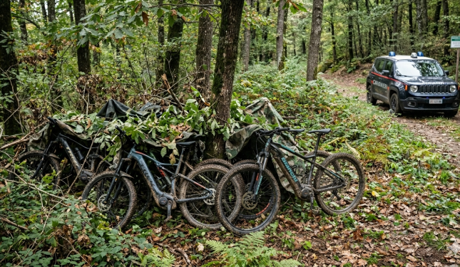 E-bike rubate e nascoste in un bosco, recuperate dai Carabinieri