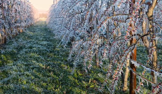 Dopo il caldo di oggi, torna il gelo di notte: temperature minime fino a -5 gradi