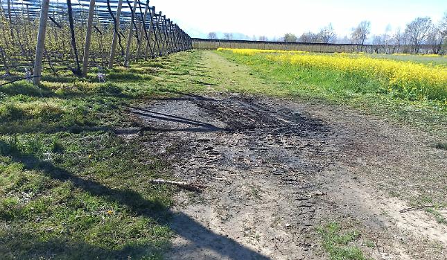 Il corpo nell'auto in fiamme &egrave; di una signora italiana di 60 anni