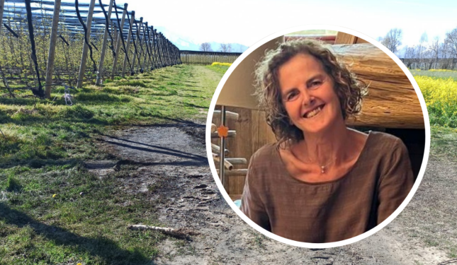 La donna deceduta nell'auto in fiamme &egrave; Amalia Bergalla