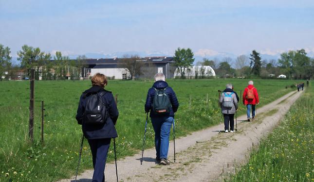 Camminare per stare bene: tre serate sulla salute e i benefici del movimento