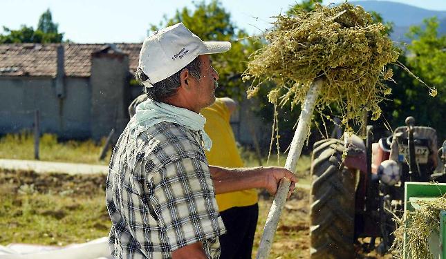 &ldquo;La riduzione della pressione contributiva d&agrave; respiro alle aziende agricole&rdquo;