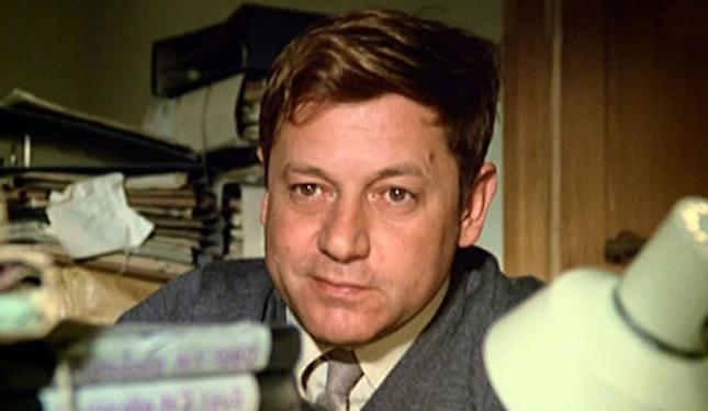 Il mito della Megaditta