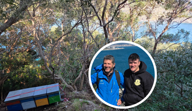 Su un isolotto disabitato nascer&agrave; il "miele che sa di mare"