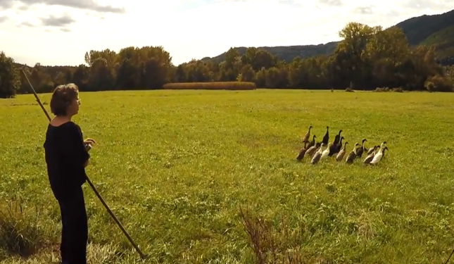 "Con i piedi per terra": storie di chi resiste tra i campi, coltivando con rispetto