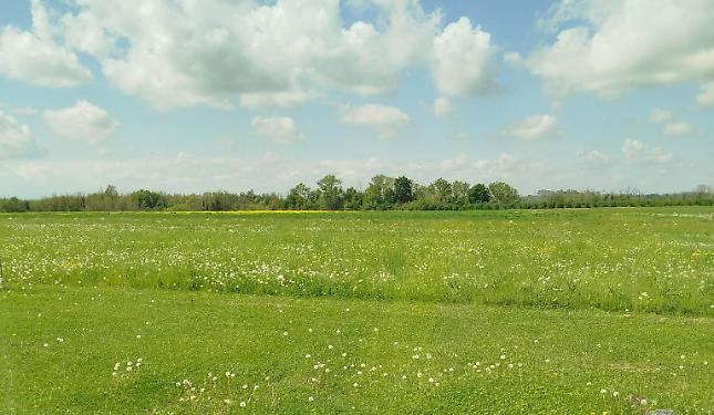 Una primavera che profuma d'estate: massime fino a 25 gradi in Piemonte
