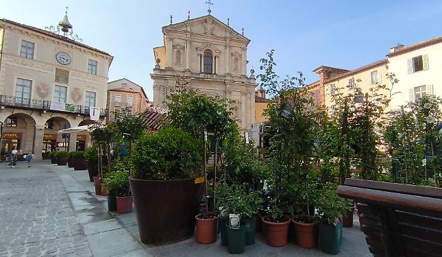 Spuntano i fiori nel centro storico