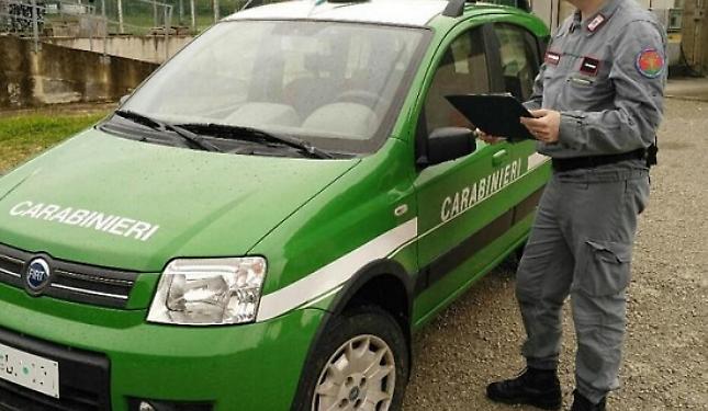 Ruba mille litri di gasolio e scappa: identificato grazie alle telecamere